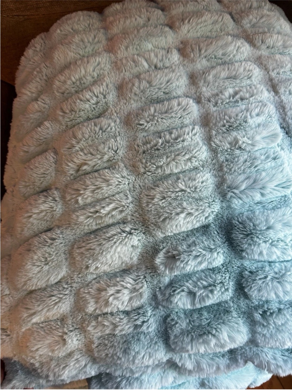 NWOT Minky Holic super soft Blanket - Seafoam Blue - Picture 5 of 5